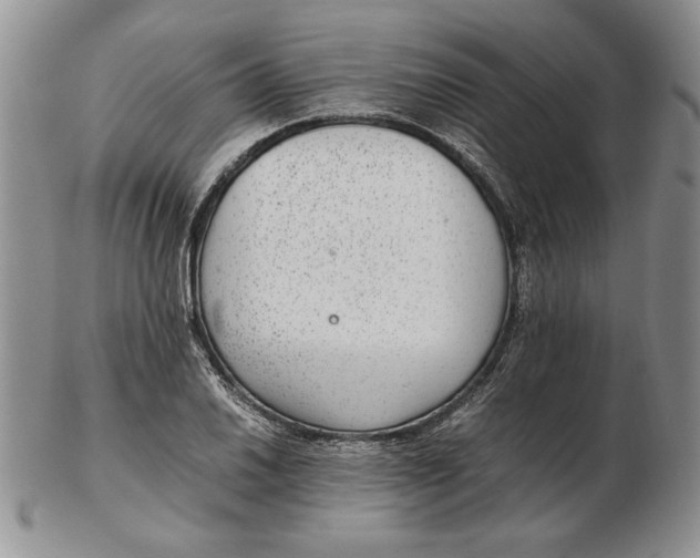 X0000102381030200808221757