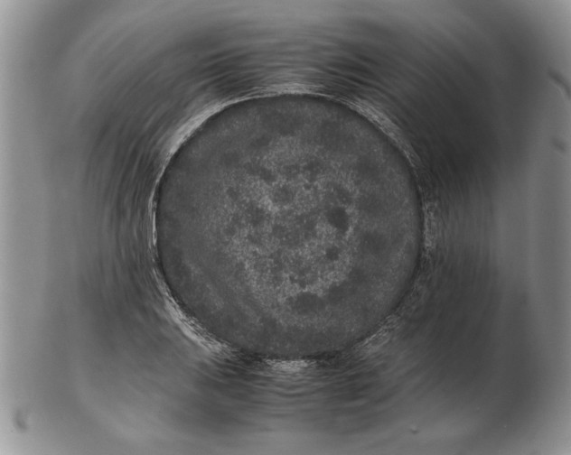 X0000102381031200808221757