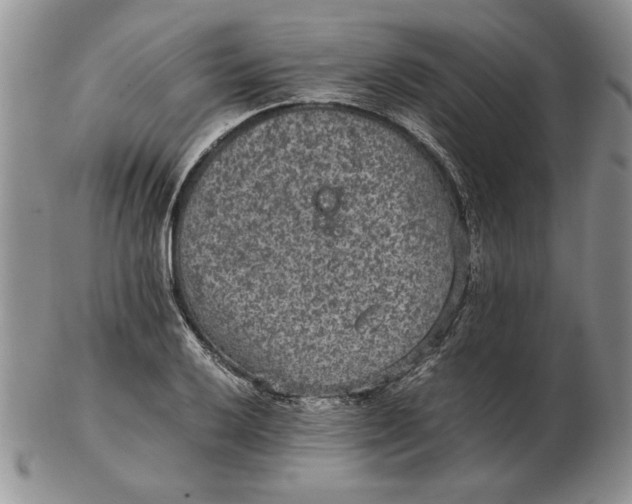 X0000102381032200808221757