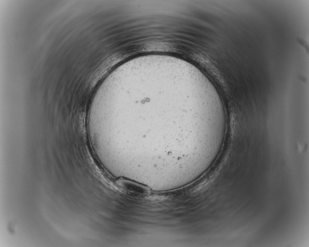 X0000102381033200808221757