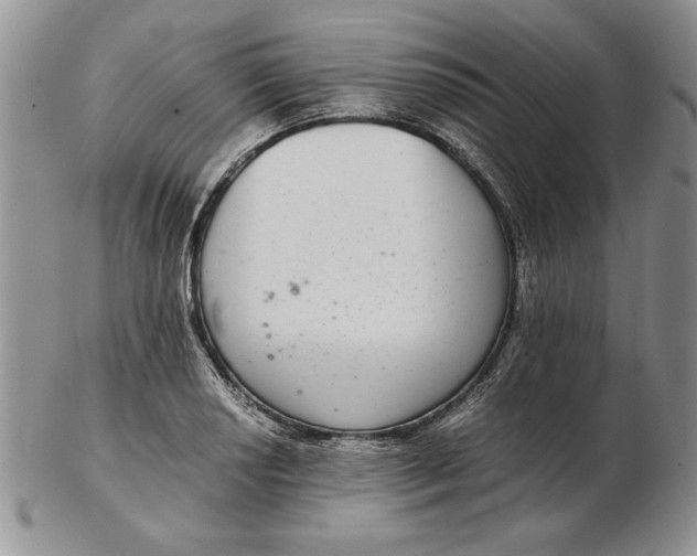 X0000102381034200808221757