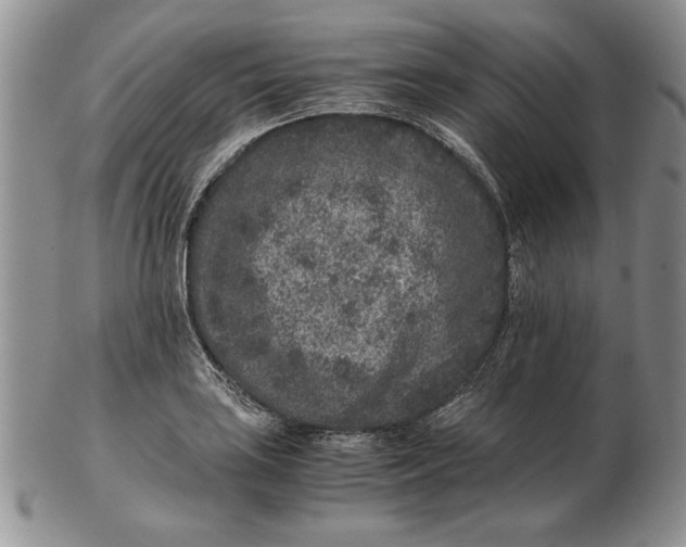 X0000102381035200808221757