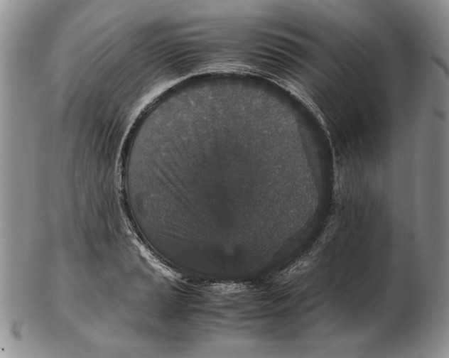 X0000102381037200808221757