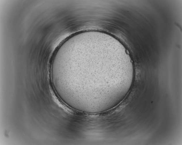 X0000102381038200808221757