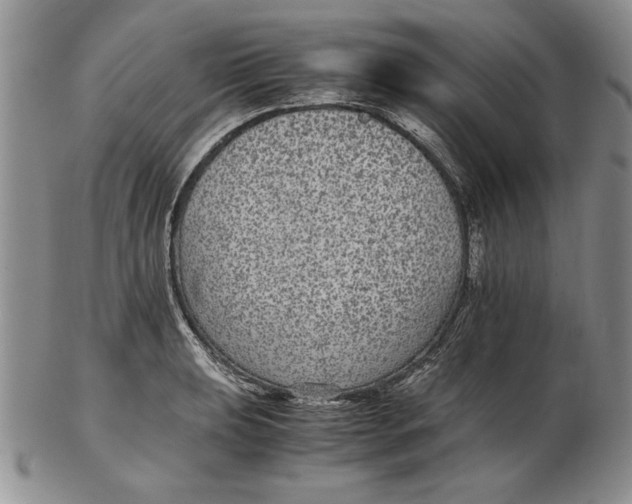 X0000102381039200808221757