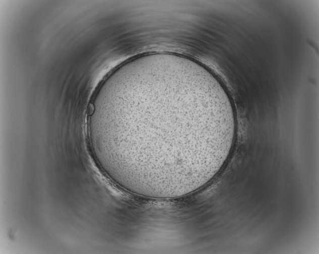 X0000102381040200808221757