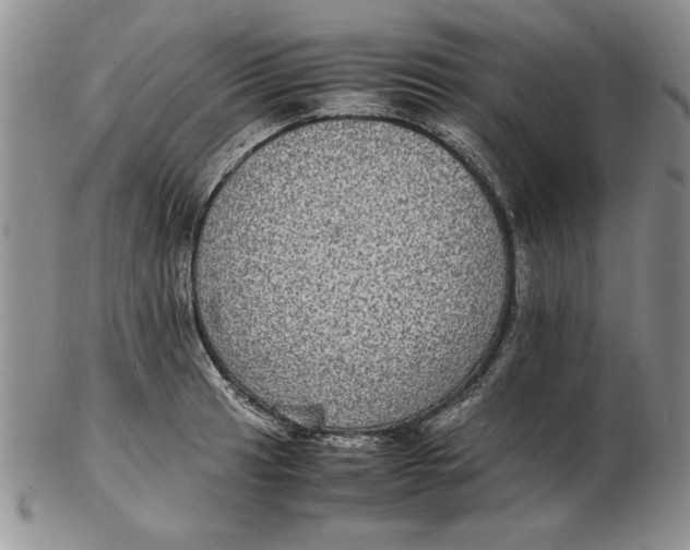 X0000102381041200808221757