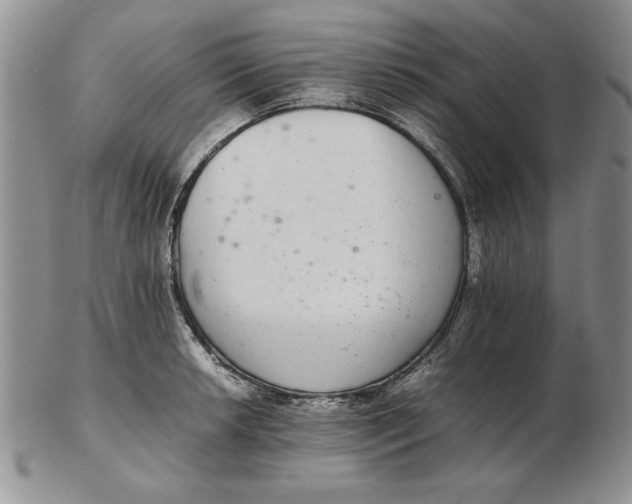 X0000102381042200808221757