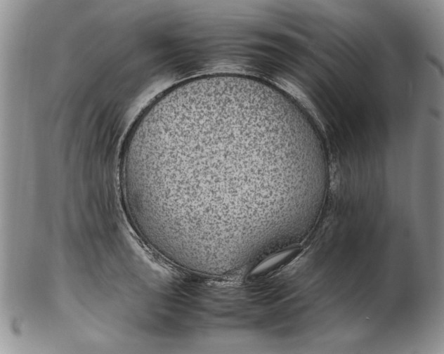 X0000102381043200808221757