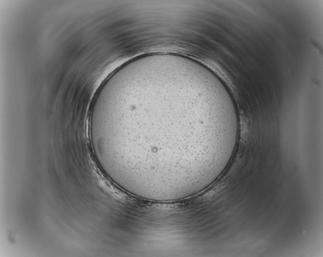 X0000102381044200808221757