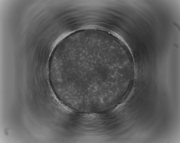 X0000102381045200808221757