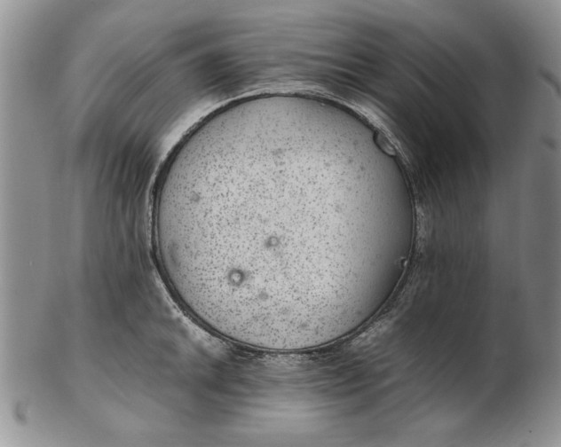 X0000102381046200808221757