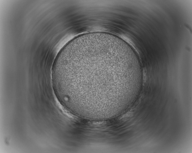 X0000102381047200808221757