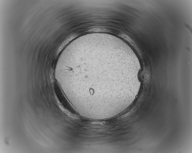 X0000102381049200808221757