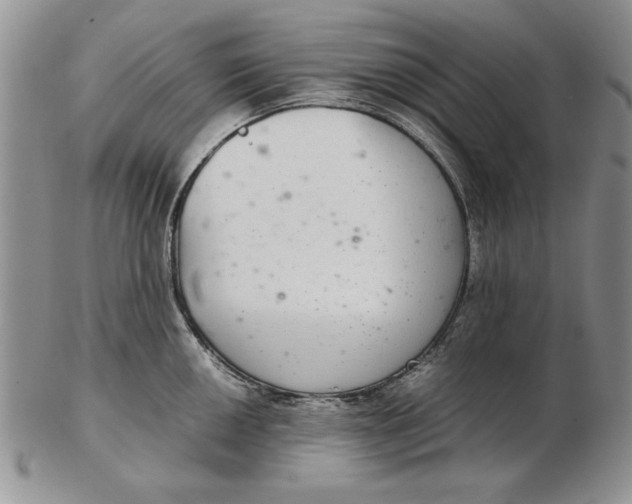 X0000102381050200808221757