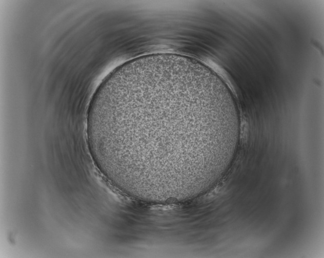 X0000102381051200808221757