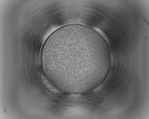 X0000102381052200808221757