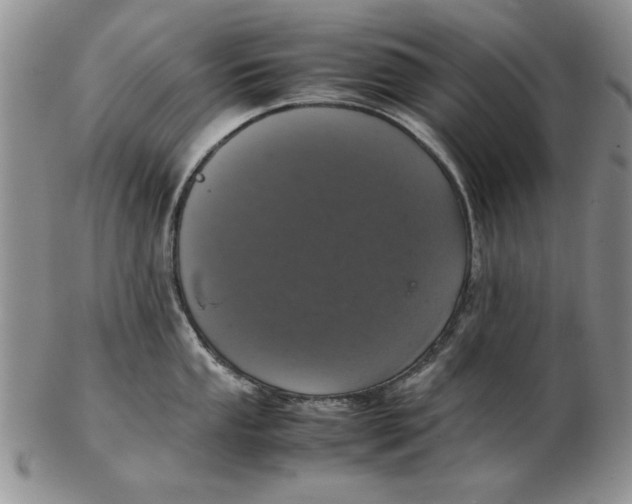 X0000102381053200808221757