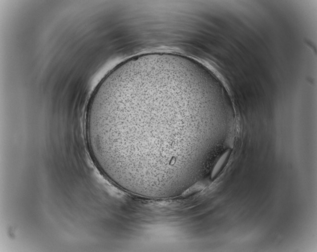 X0000102381054200808221757