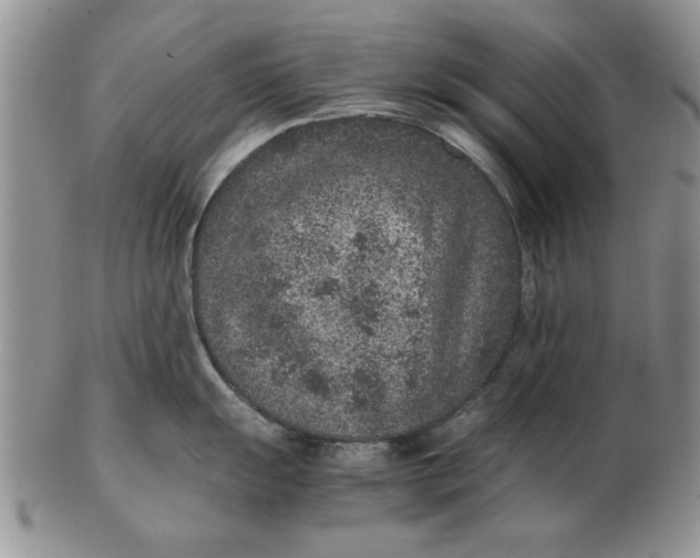 X0000102381055200808221757