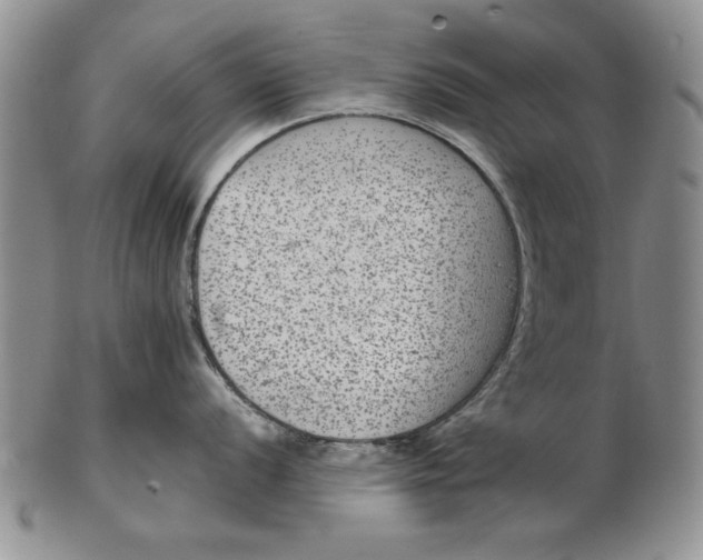 X0000102381056200808221757