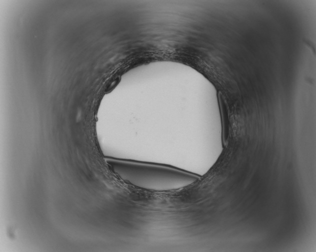 X0000102381057200808221757