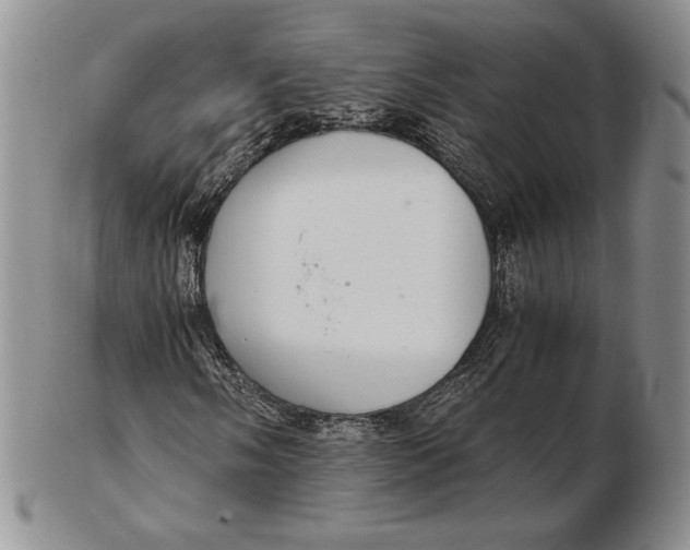 X0000102381058200808221757