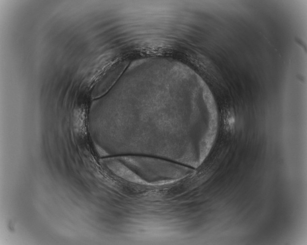 X0000102381060200808221757