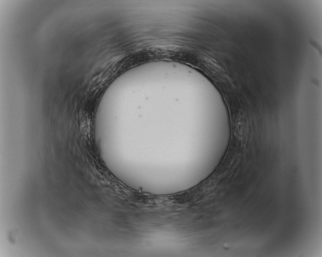 X0000102381061200808221757