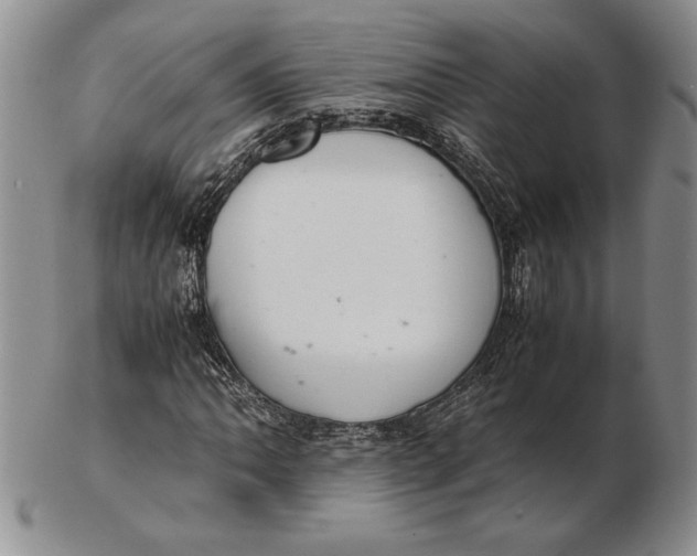 X0000102381062200808221757