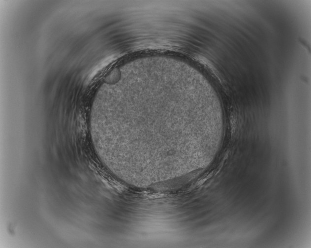 X0000102381064200808221757