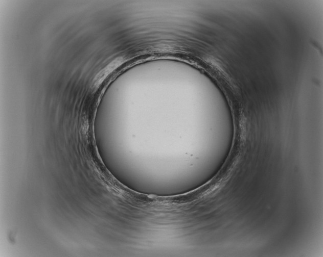 X0000102381065200808221757