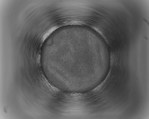 X0000102381066200808221757