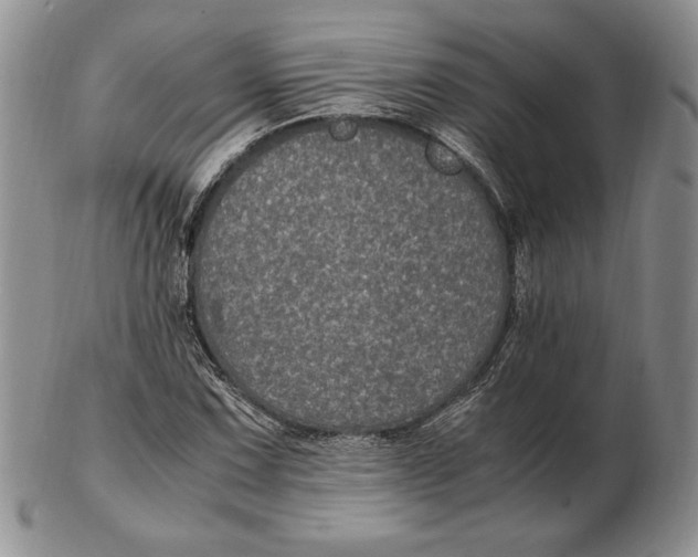 X0000102381067200808221757