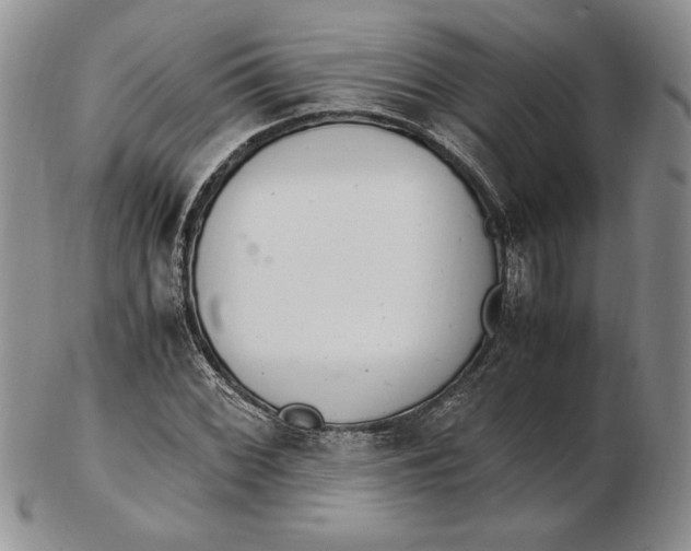 X0000102381068200808221757