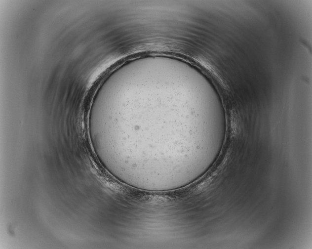 X0000102381070200808221757