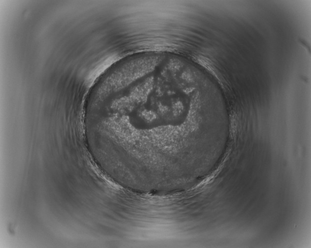 X0000102381071200808221757