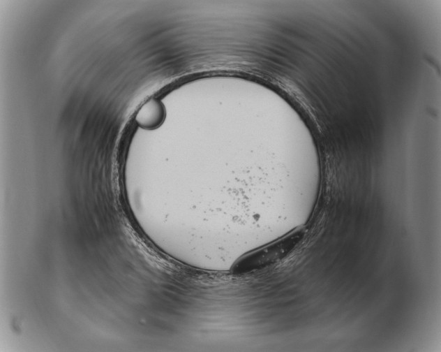 X0000102381072200808221757