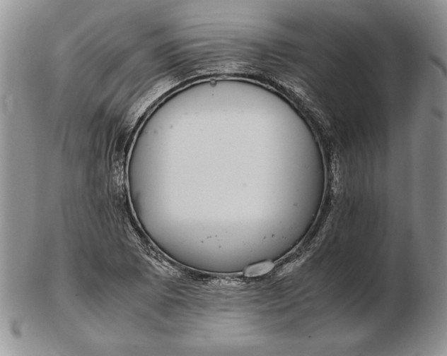 X0000102381073200808221757