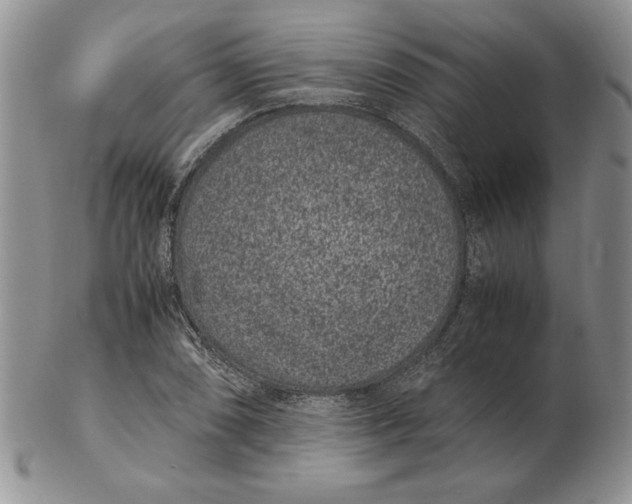 X0000102381074200808221757