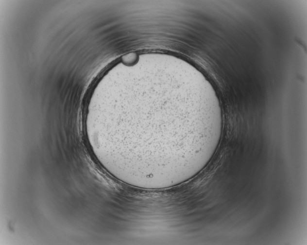 X0000102381076200808221757