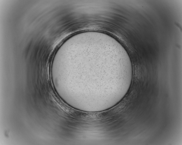 X0000102381078200808221756