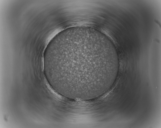 X0000102381079200808221756