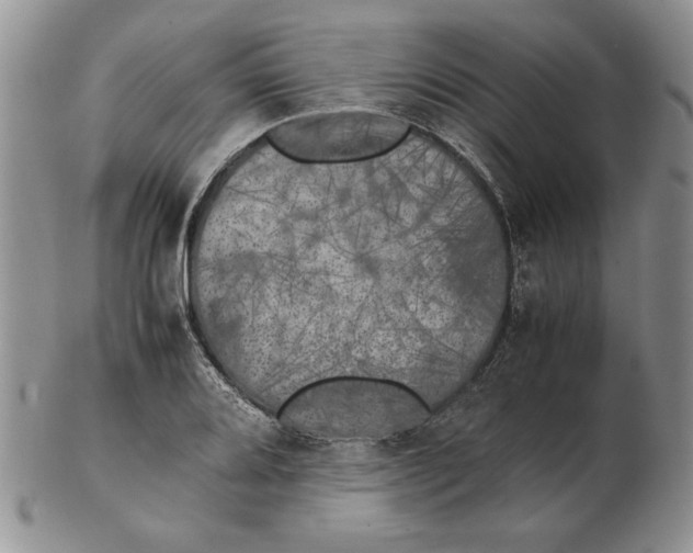 X0000102381080200808221756