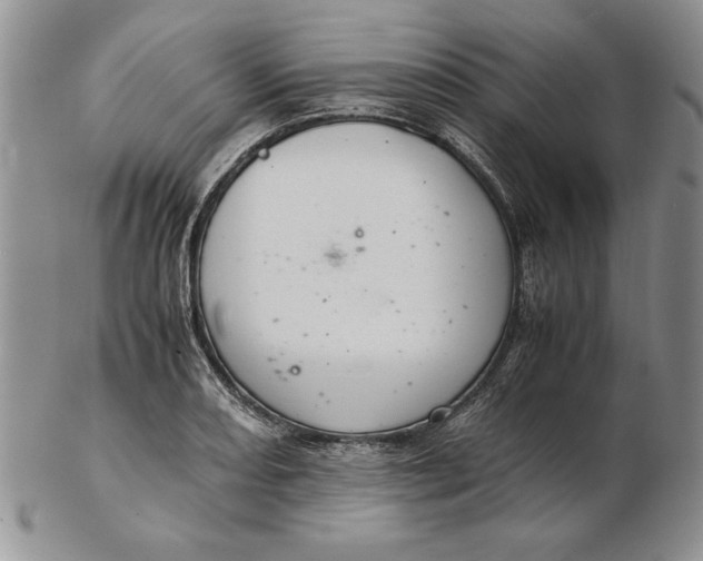 X0000102381082200808221756