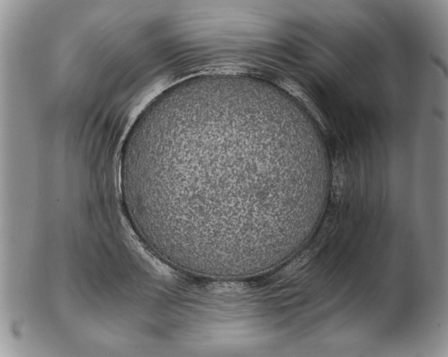 X0000102381083200808221756