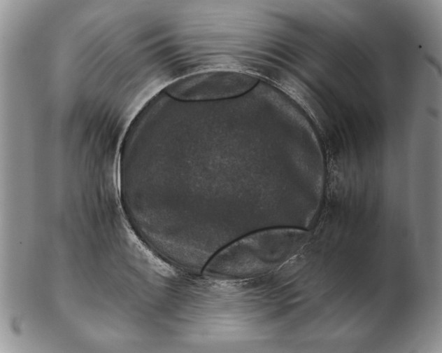 X0000102381084200808221756