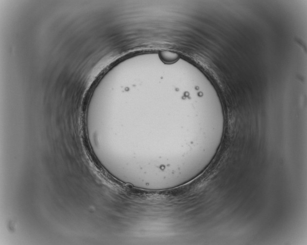 X0000102381085200808221756