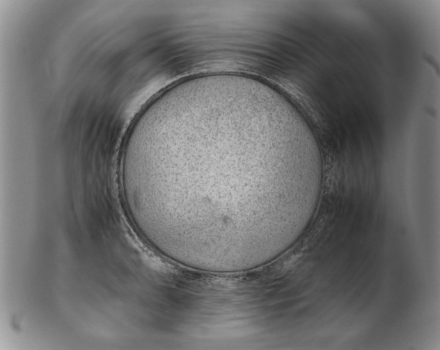 X0000102381086200808221756