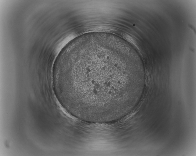 X0000102381087200808221756